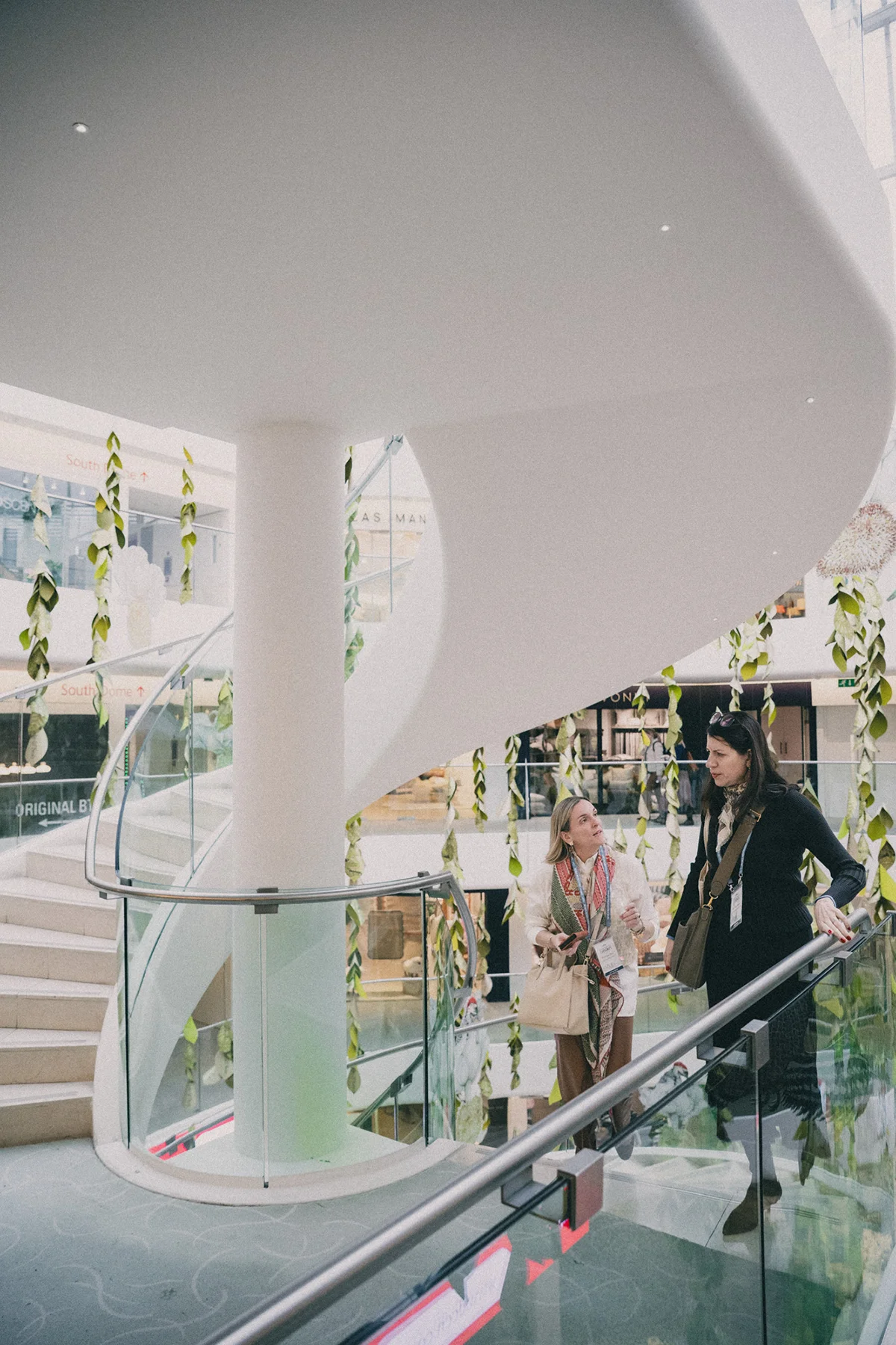 DDL_190126_RaccoonLondon-8435