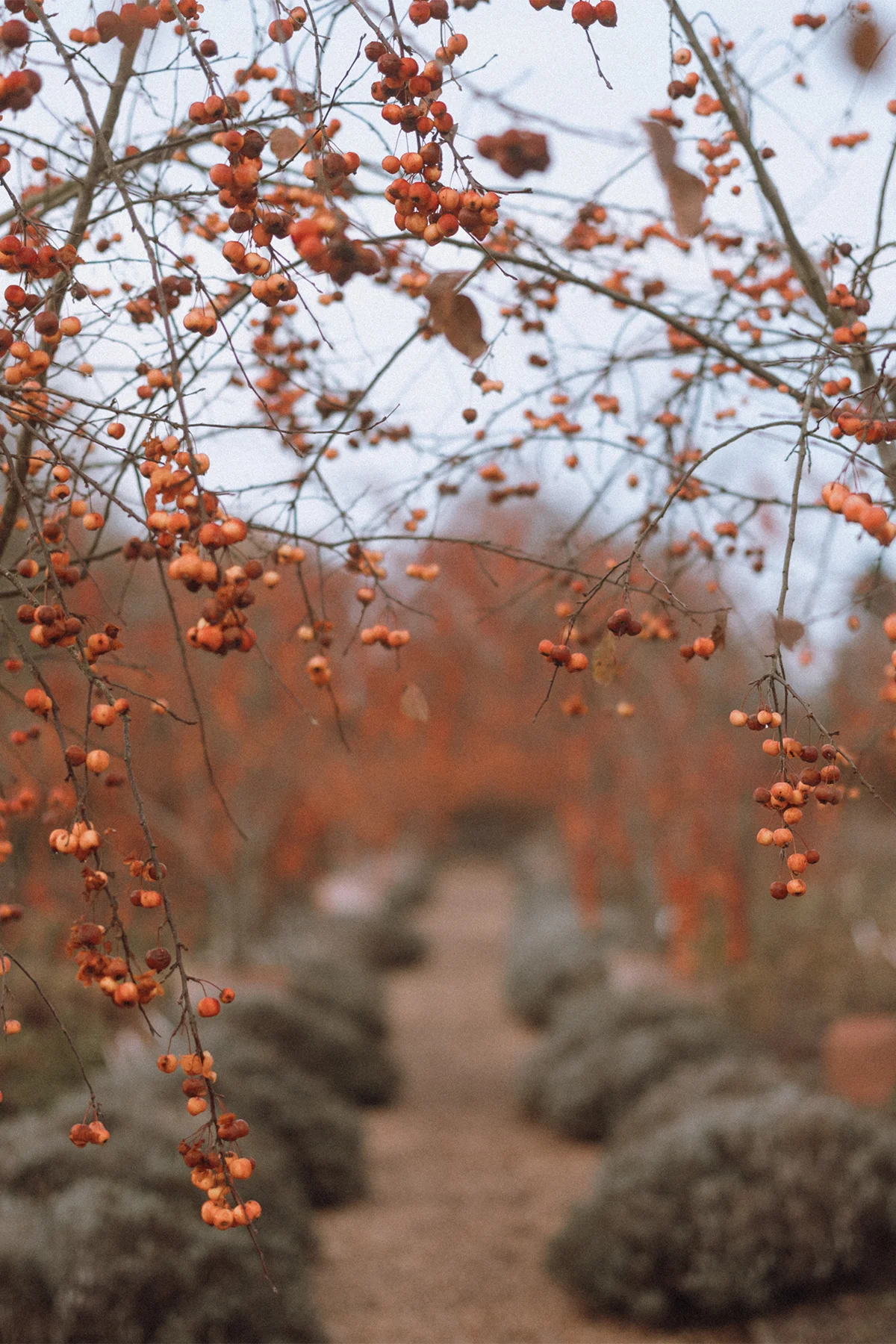 202512-THYME_Finn-Beales-5